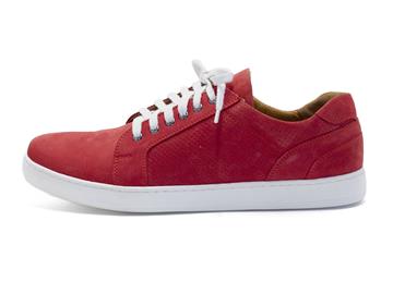 Lavaggio 1960-NRED 23t